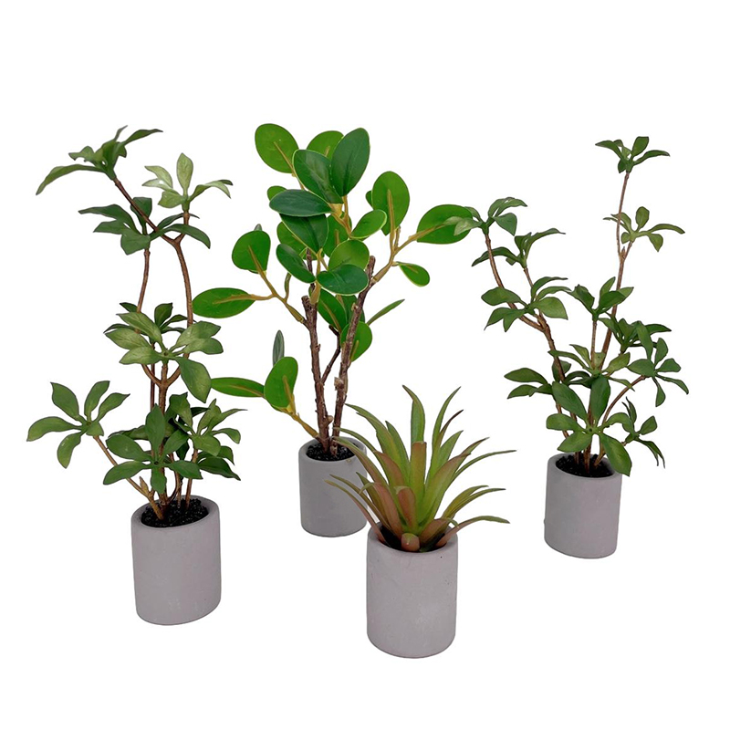 Bonsai Garden Ideas - 1:6 domek dla lalek miniaturowa roślina
