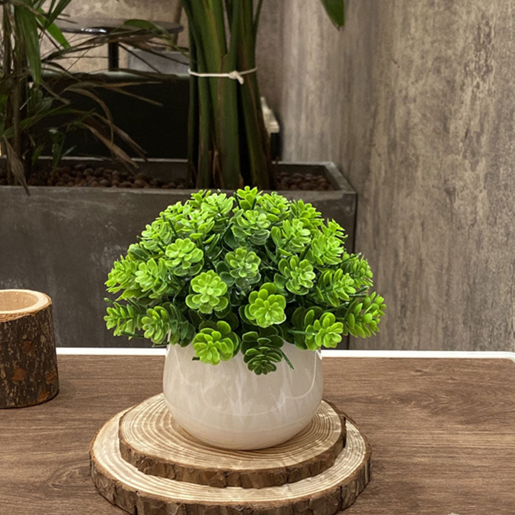 Realistyczny sztuczny bonsai w – Bonsai Garden And Cafe recenzja i cena