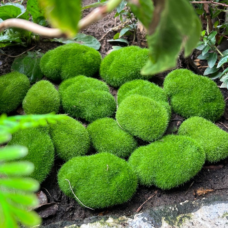 5/30 szt. Symulowane kamienie  – Bonsai Rock Garden recenzja i cena