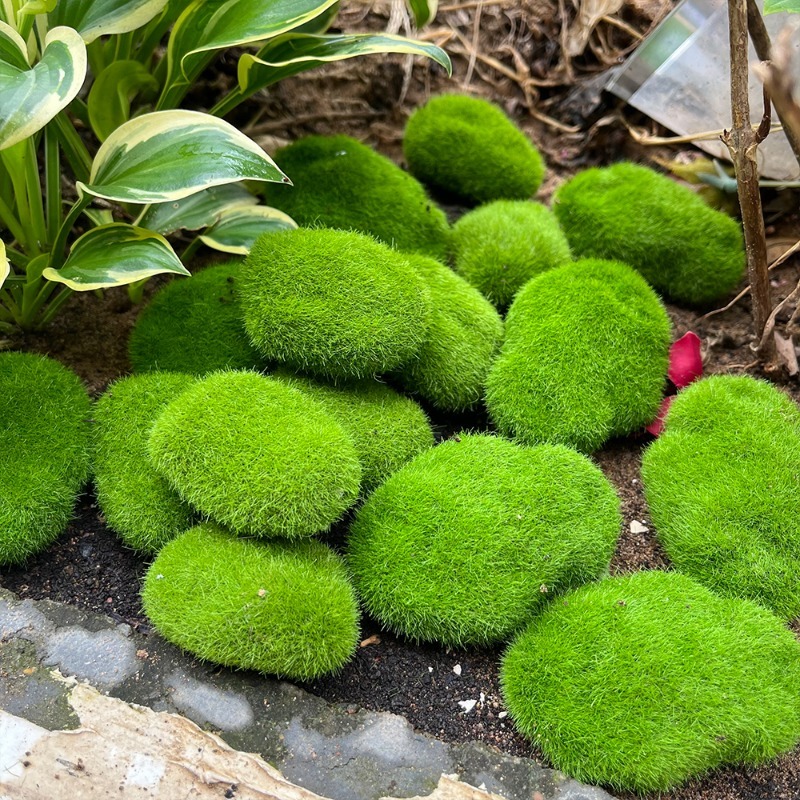 5/30 szt. Symulowane kamienie  – Bonsai Rock Garden recenzja i cena