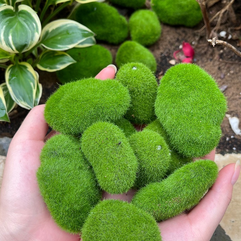 5/30 szt. Symulowane kamienie  – Bonsai Rock Garden recenzja i cena
