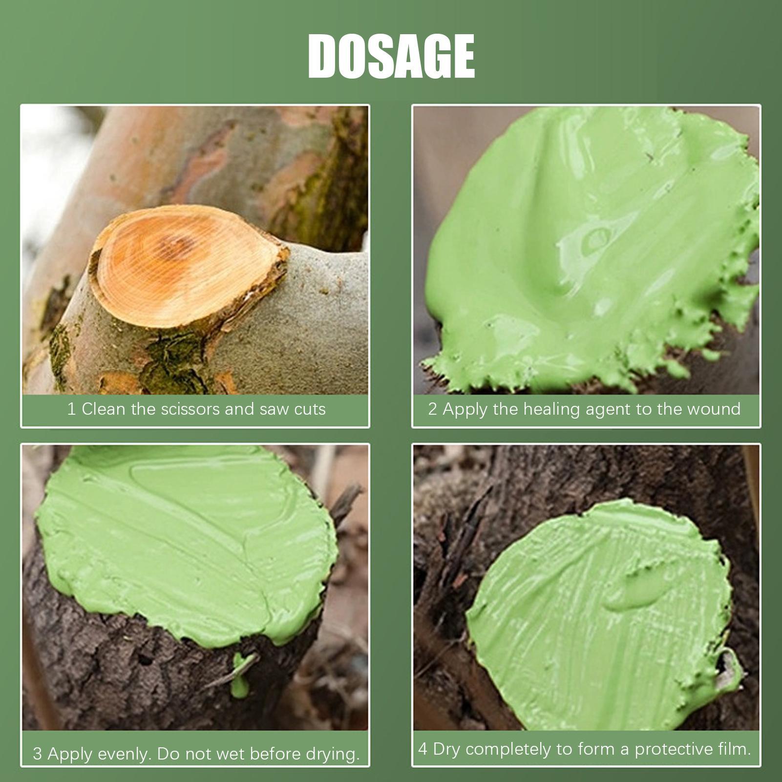 Środek do uszczelniania i rege – Bonsai Garden Tree recenzja i cena