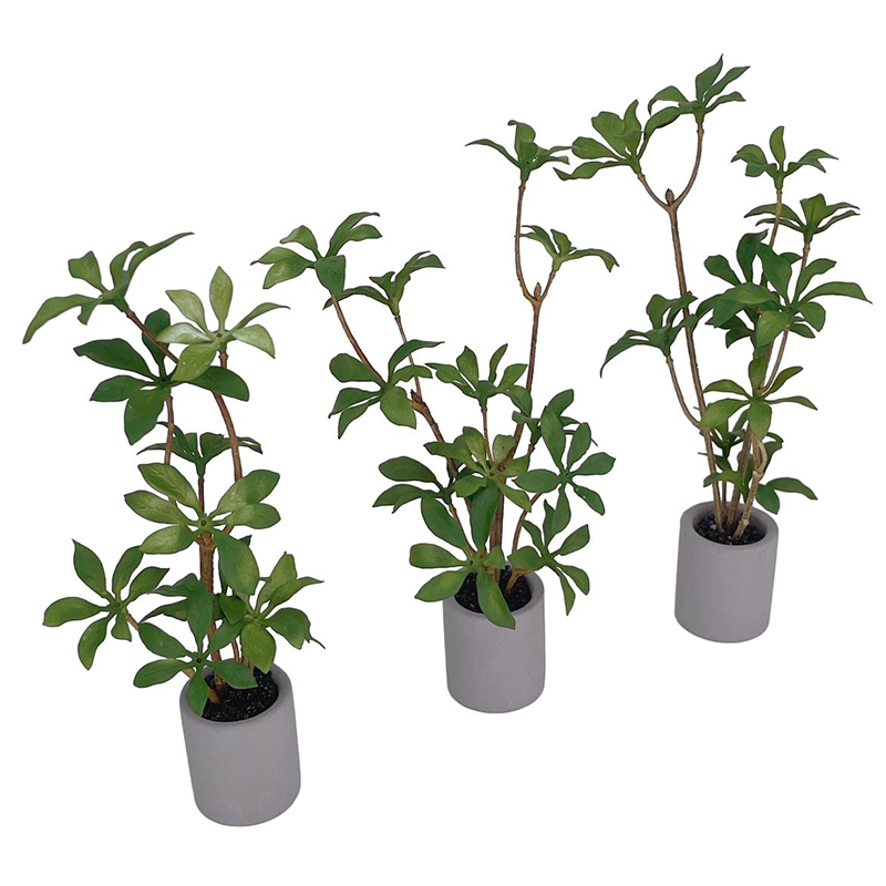 1:6 domek dla lalek miniaturow – Bonsai Garden Ideas recenzja i cena
