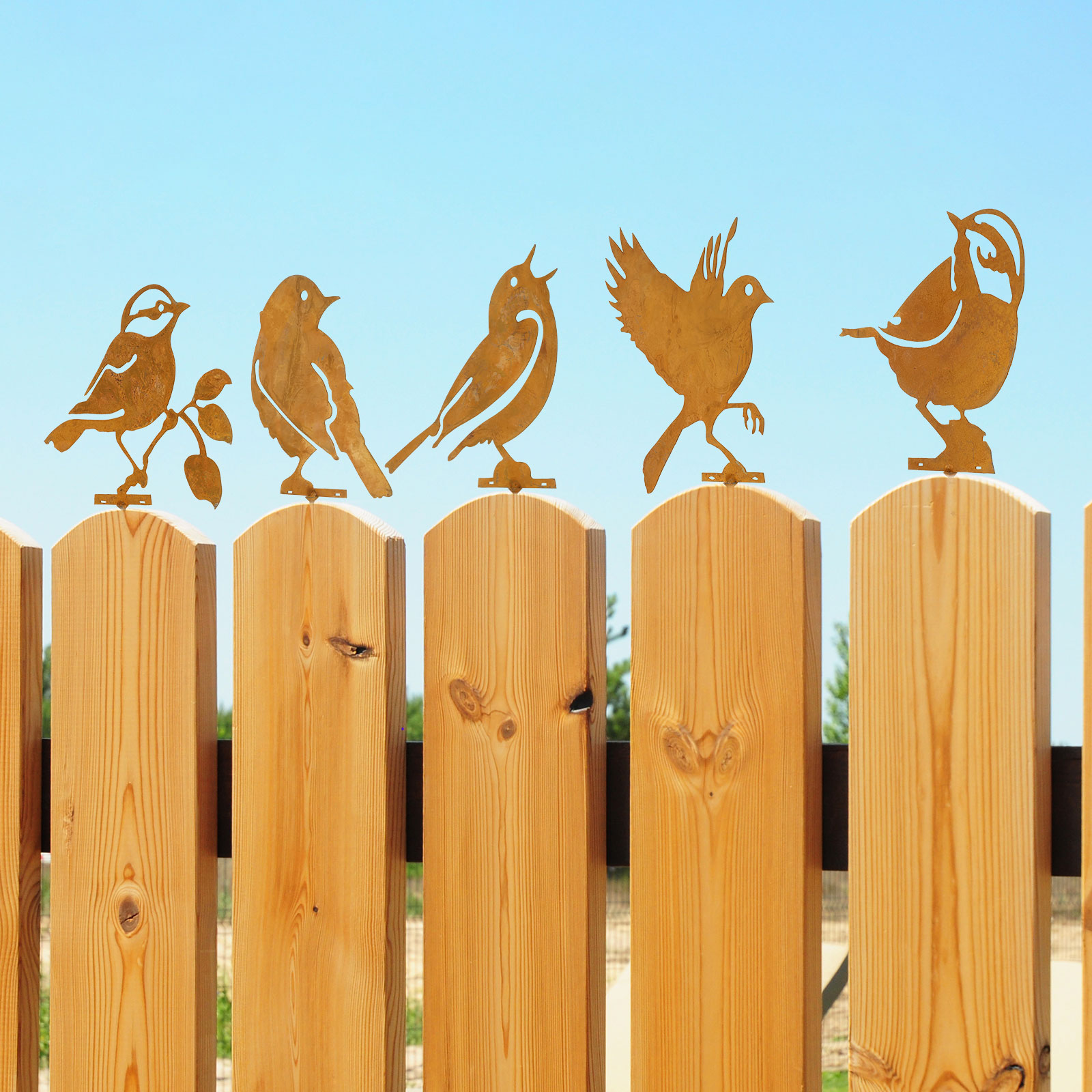 5Pcs Rusty Metal Bird Garden F – Bonsai Garden Ornaments recenzja i cena