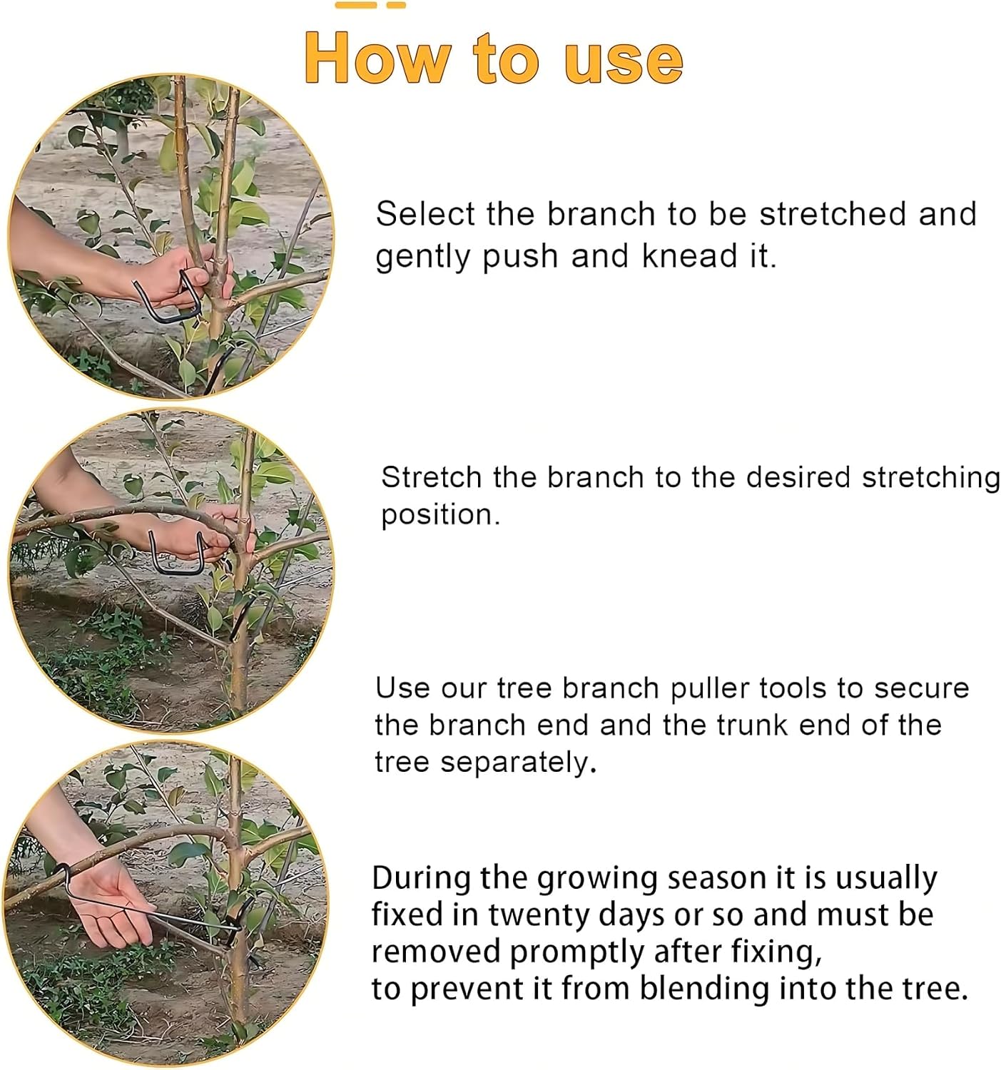 Regulowany przyrząd do kształt – Bonsai Garden Tree recenzja i cena