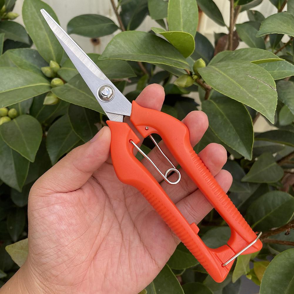 Profesjonalne nożyce ogrodowe  – Bonsai Garden Tree recenzja i cena