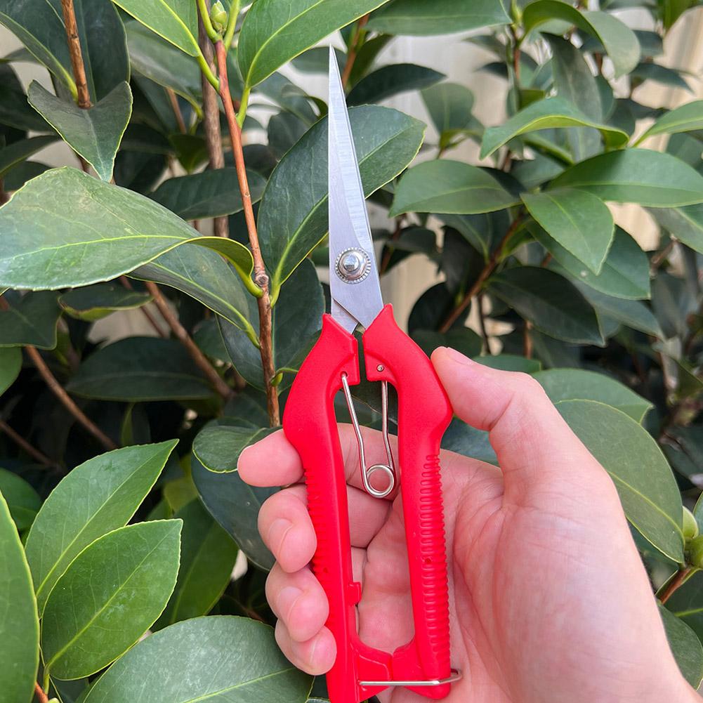 Profesjonalne nożyce ogrodowe  – Bonsai Garden Tree recenzja i cena