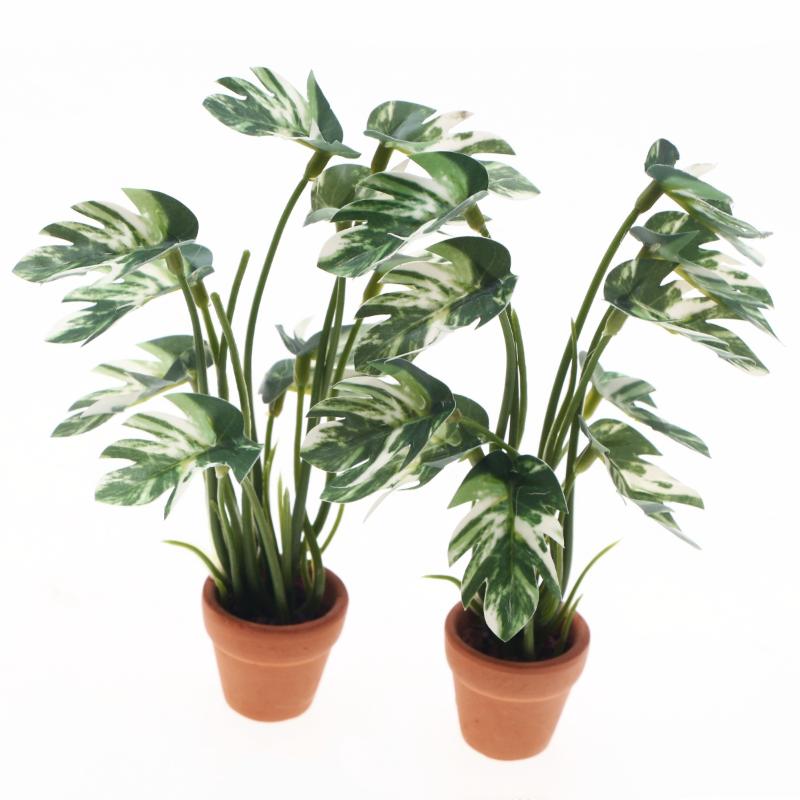 Nowy. 1 szt. 1/12 Symulacja ro – Bonsai Garden Ideas recenzja i cena