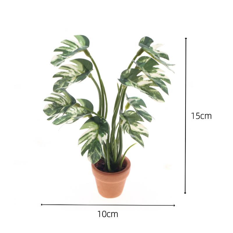 Nowy. 1 szt. 1/12 Symulacja ro – Bonsai Garden Ideas recenzja i cena